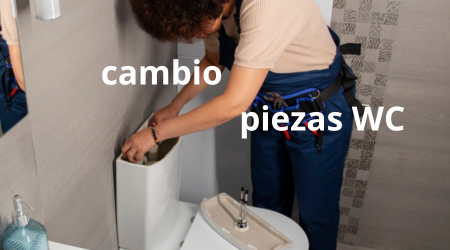 cambio piezas WC (1)